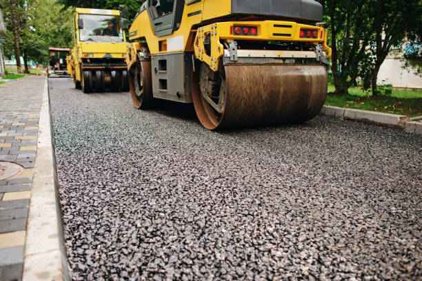 Best Local Driveway Pavers  in Elbow Lake, MN